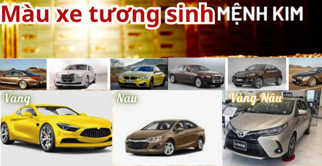 mau-xe-tuong-sinh