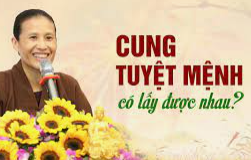 vo-chong-cung-tuyet-menh-lay-nhau-duoc-khong